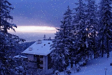 Snow Fall Wallpapers Winter Scenery   HD Wallpapers