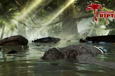 Dead Island Wallpapers   Wallpapers Cave