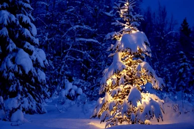 Snow Christmas Wallpapers