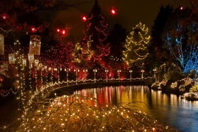 Bing Wallpapers Archive