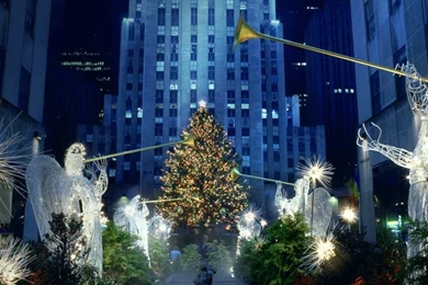 Bing Wallpapers Archive