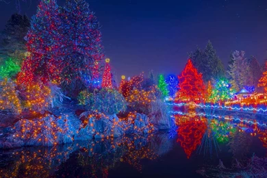 Bing Wallpapers Archive