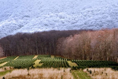 Bing Wallpapers Archive