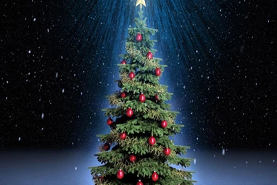 October 2013 ~ Christmas Tree Decoration