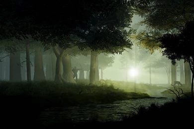 Download Nature Forest Wallpapers 1920x1080