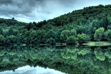 Nature Forest 1600x1200 › HD Wall Paper