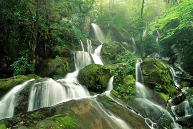 Beautiful Nature Wallpapers   HD Wallpapers And Pictures