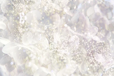 White Desktop Backgrounds   Wallpaper, High Definition, High ...