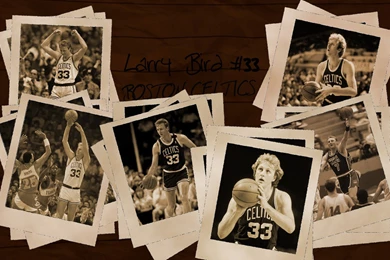Larry Bird NBA Player Wallpapers