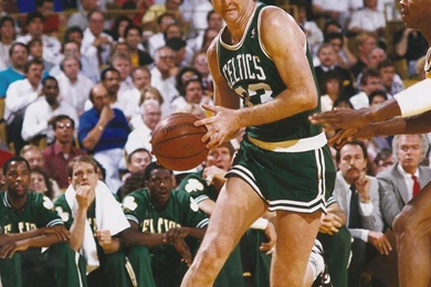 Paper Fresh Singer: Larry Bird   Wallpapers Hot