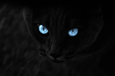 New ipad wallpaper hd 2048×2048 567