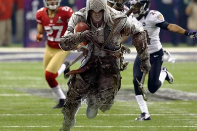 Funny Turtle Hamburger Wallpapers HD, HD Desktop Wallpapers