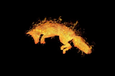 1280x1024 Fire Fox Desktop PC And Mac Wallpapers