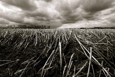 Black And White Wallpapers 726   HD Wallpapers