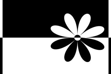 Black White Bird Wallpapers