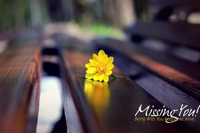 HD I Miss You Wallpapers For Him Or Her Romantic Wallpapers Chobirdokan