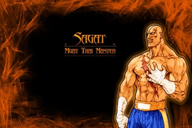 Sagat Wallpapers By Wombatlord On DeviantArt