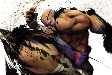 Wallpapers Final Figth New Street Fighter 1680x1050