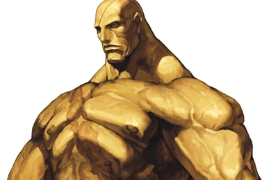 Top HD Sagat Wallpapers