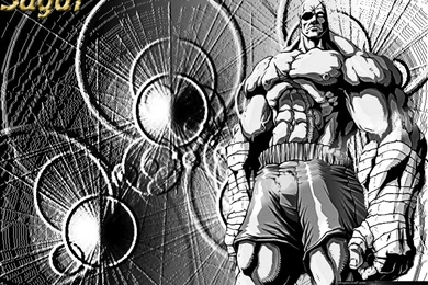 Sagat Wallpapers By Praphaell On DeviantArt