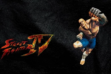 Street Fighter IV Sagat By Sandaime Kiichi On DeviantArt