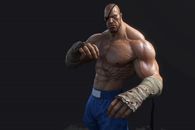 Top HD Sagat Wallpapers
