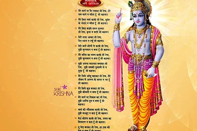 Download 5 God Krishna Wallpapers For Free