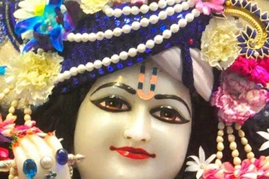 Lord Shri Krishna Beautiful Images Free Download