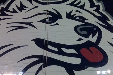 This And That From Gampel ...   UCONN