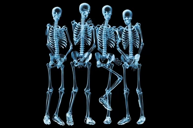 Funny Wallpapers High Quality