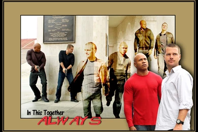 8 NCIS: Los Angeles HD Wallpapers