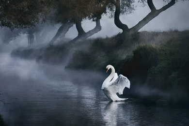 National Geographic Magazine 2011 November" Exqu   Landscape ...