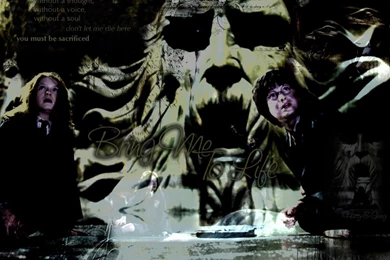 Harry And Ginny   Ginevra "Ginny" Weasley Wallpapers (2652218)   Fanpop