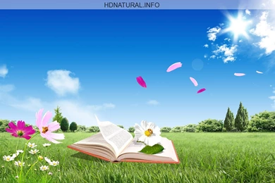 Cute Nature Wallpapers Rmiuztqm   HD WallpapersHD Wallpapers