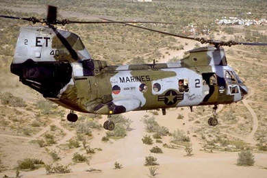 Top Chinook F Wallpapers