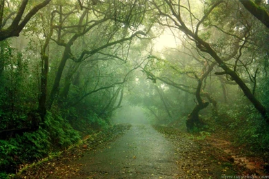 Cute Nature Hd Wallpapers   SUPERHDFX