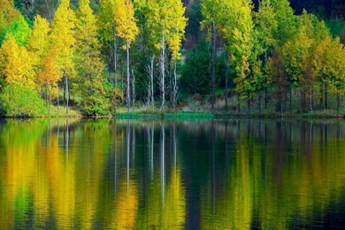 Wallpapers Cute Natures Nature Landscape 1024x768