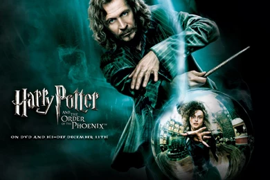 Windows Harry Potter Theme (Works On Windows 7,8,10)