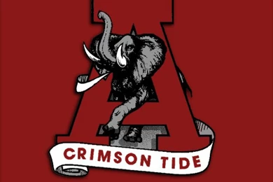 Wallpapers BAMA Wallpapers 3