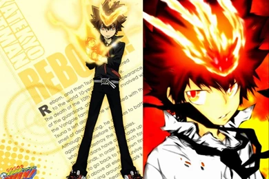 Wallpapers Hayate No Gotoku For Free Katekyo Hitman Reborn ...