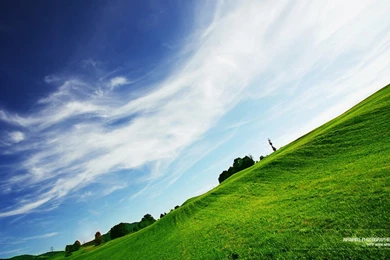 Wallpapers Nature New 1201, Size: 1280x960