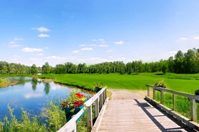 Hd Wallpapers New Nature