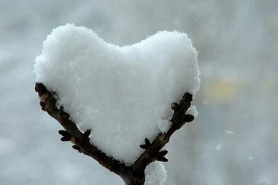 Love Nature Wallpapers   HD Wallpapers Pretty