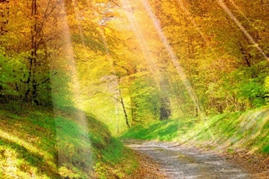 ღ ღ Which Iphone 6 Nature Wallpapers That Will Make You Feel ...