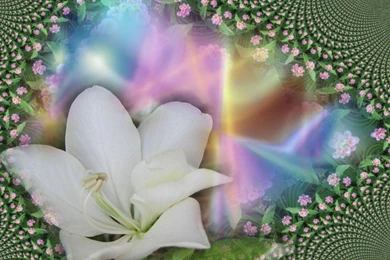 Spring New Nature MySpace Wallpapers   Blicer