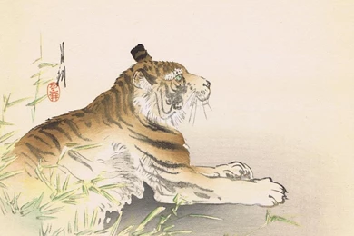 Tiger" By Ogata GekkÅ   Shishikiban (square Format) Ukiyo e ...
