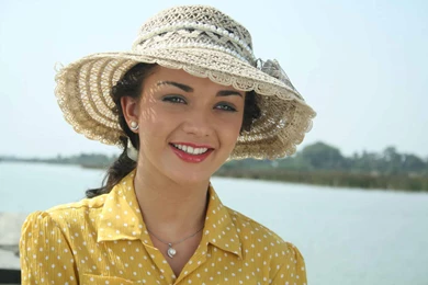 Amy Jackson In Sareestures Hd Wallpapers
