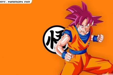 GOKU SUPER SAIYAJIN God HD Desktop Wallpapers : High Definition
