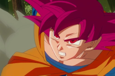 Super Saiyan God   Dragon Ball Wiki   Wikia
