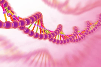 Wallpapers Therapy Quantum Pranx Economics And Esoterica For A New ...